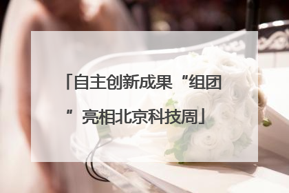 自主创新成果“组团”亮相北京科技周