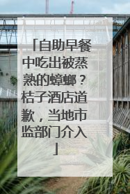 自助早餐中吃出被蒸熟的蟑螂？桔子酒店道歉，当地市监部门介入