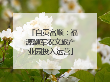 自贡富顺：福源灏军农文旅产业园投入运营