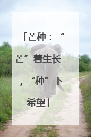 芒种：“芒”着生长，“种”下希望