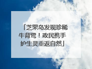芝罘岛发现珍稀牛背鹭！政民携手护生灵重返自然