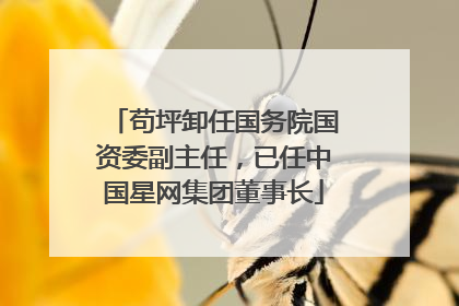 苟坪卸任国务院国资委副主任，已任中国星网集团董事长