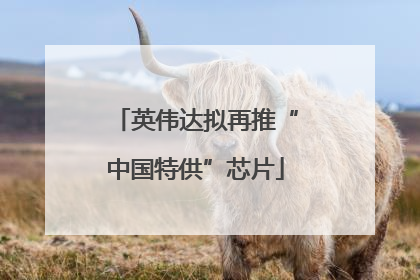 英伟达拟再推“中国特供”芯片
