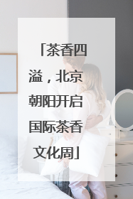 茶香四溢，北京朝阳开启国际茶香文化周