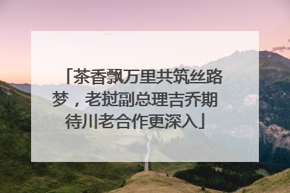 茶香飘万里共筑丝路梦，老挝副总理吉乔期待川老合作更深入