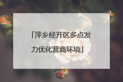 萍乡经开区多点发力优化营商环境