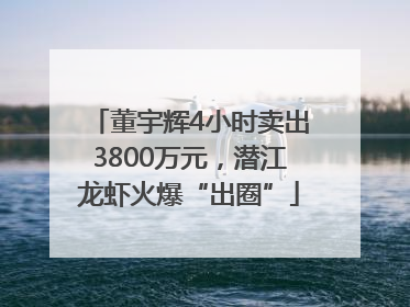 董宇辉4小时卖出3800万元，潜江龙虾火爆“出圈”