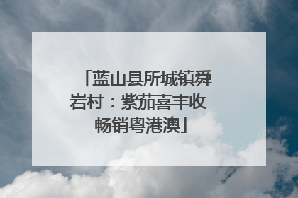 蓝山县所城镇舜岩村：紫茄喜丰收 畅销粤港澳