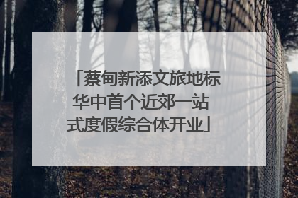 蔡甸新添文旅地标 华中首个近郊一站式度假综合体开业