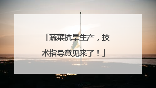 蔬菜抗旱生产，技术指导意见来了！