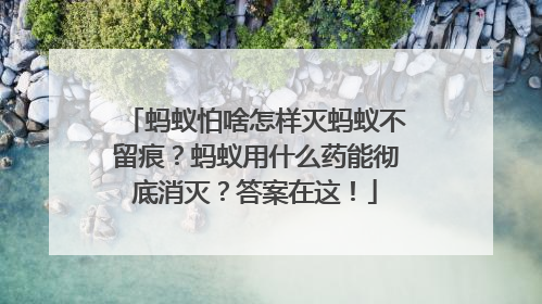 蚂蚁怕啥怎样灭蚂蚁不留痕？蚂蚁用什么药能彻底消灭？答案在这！