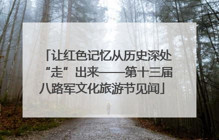 让红色记忆从历史深处“走”出来——第十三届八路军文化旅游节见闻
