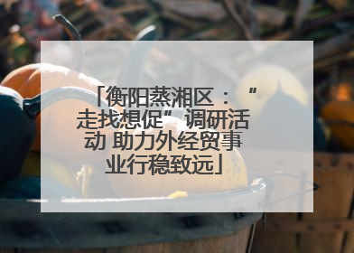 衡阳蒸湘区：“走找想促”调研活动 助力外经贸事业行稳致远