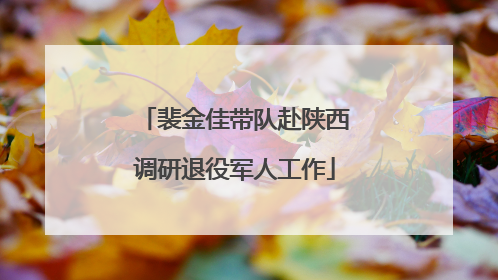 裴金佳带队赴陕西调研退役军人工作