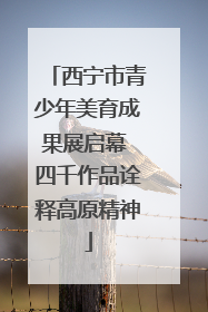 西宁市青少年美育成果展启幕 四千作品诠释高原精神