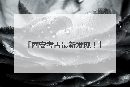 西安考古最新发现！