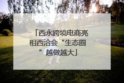 西永跨境电商亮相西洽会“生态圈”越做越大