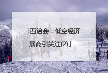 西洽会：低空经济展商引关注(2)