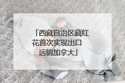 西藏自治区藏红花首次实现出口 远销加拿大