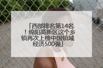 西部排名第14名！绵阳高新区这个乡镇再次上榜中国镇域经济500强