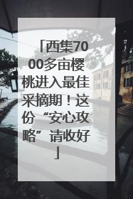 西集7000多亩樱桃进入最佳采摘期！这份“安心攻略”请收好