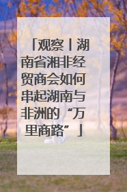 观察丨湖南省湘非经贸商会如何串起湖南与非洲的“万里商路”