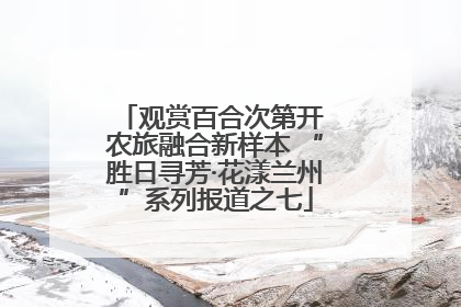 观赏百合次第开 农旅融合新样本 “胜日寻芳·花漾兰州”系列报道之七
