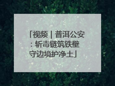 视频｜普洱公安：斩毒链筑铁壁 守边境护净土