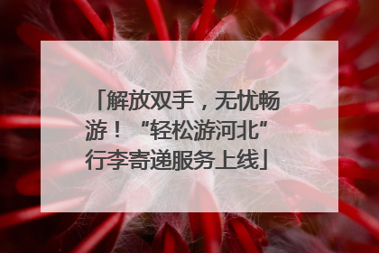 解放双手，无忧畅游！“轻松游河北”行李寄递服务上线