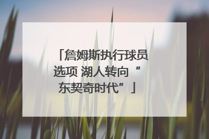詹姆斯执行球员选项 湖人转向“东契奇时代”