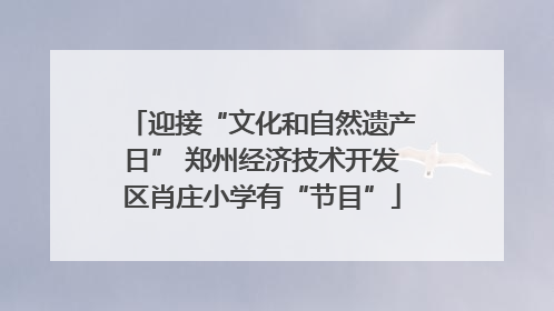 迎接“文化和自然遗产日” 郑州经济技术开发区肖庄小学有“节目”