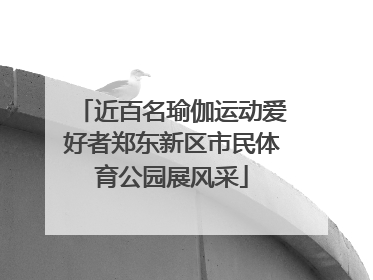 近百名瑜伽运动爱好者郑东新区市民体育公园展风采