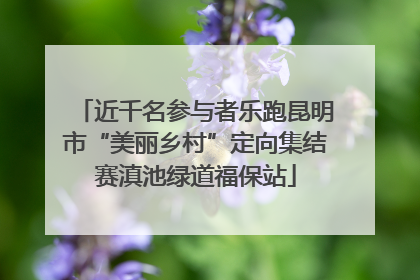近千名参与者乐跑昆明市“美丽乡村”定向集结赛滇池绿道福保站