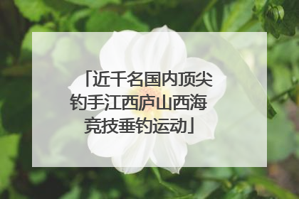 近千名国内顶尖钓手江西庐山西海竞技垂钓运动