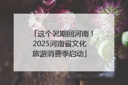 这个暑期回河南！2025河南省文化旅游消费季启动