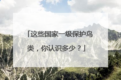 这些国家一级保护鸟类，你认识多少？