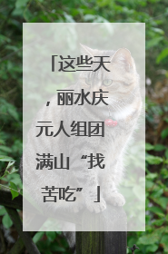 这些天，丽水庆元人组团满山“找苦吃”