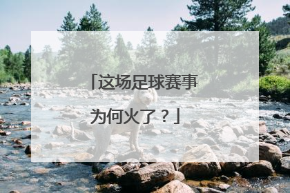 这场足球赛事为何火了？