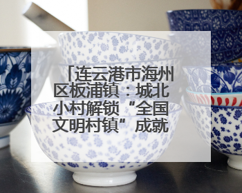 连云港市海州区板浦镇：城北小村解锁“全国文明村镇”成就的密码