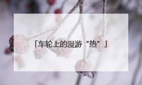 车轮上的漫游“热”