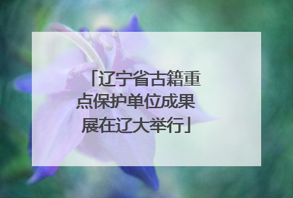 辽宁省古籍重点保护单位成果展在辽大举行