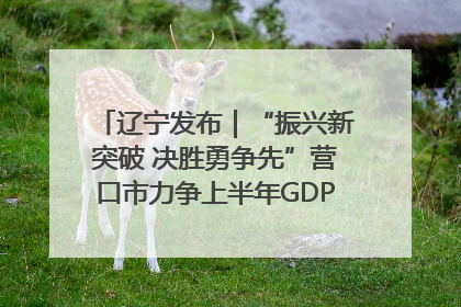 辽宁发布｜“振兴新突破 决胜勇争先”营口市力争上半年GDP增长6%左右