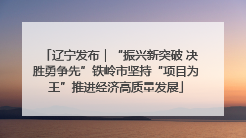 辽宁发布｜“振兴新突破 决胜勇争先”铁岭市坚持“项目为王”推进经济高质量发展