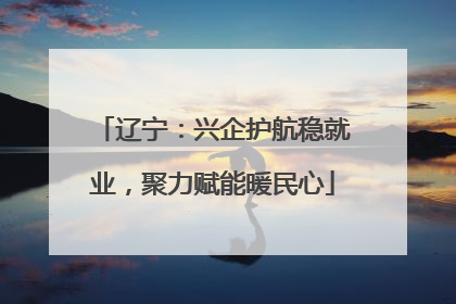 辽宁：兴企护航稳就业，聚力赋能暖民心