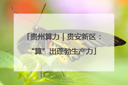 贵州算力｜贵安新区：“算”出蓬勃生产力