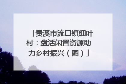 贵溪市流口镇细叶村：盘活闲置资源助力乡村振兴（图）