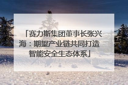 赛力斯集团董事长张兴海:期望产业链共同打造智能安全生态体系