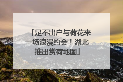 足不出户与荷花来一场浪漫约会！湖北推出赏荷地图