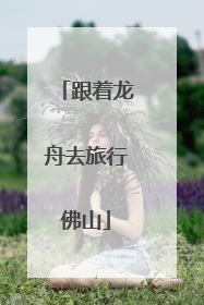 跟着龙舟去旅行佛山