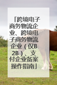 跨境电子商务物流企业、跨境电子商务物流企业（仅B2B）、支付企业备案操作指南